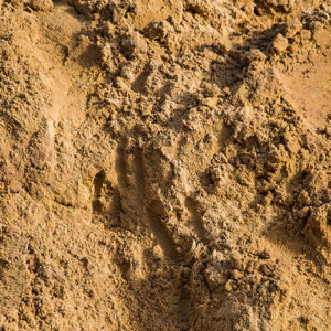 Working in Sandy Soil