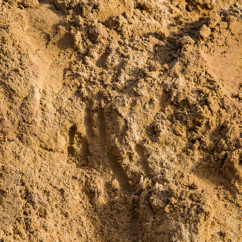 Working in Sandy Soil